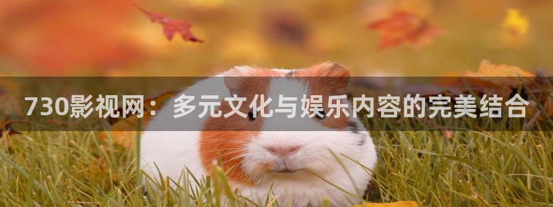 樱花视频在线观看免费播放电视剧