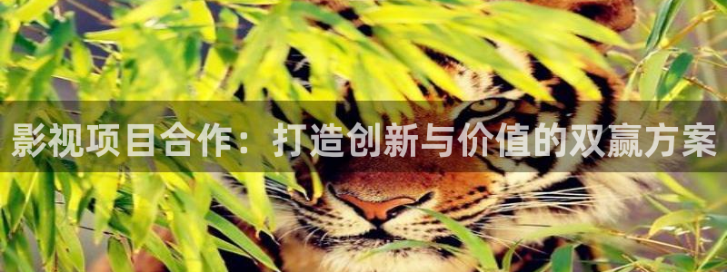 樱花影视热门电视剧有哪些
