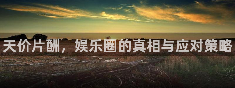 樱花视频 免费看