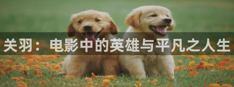 樱花视频mv