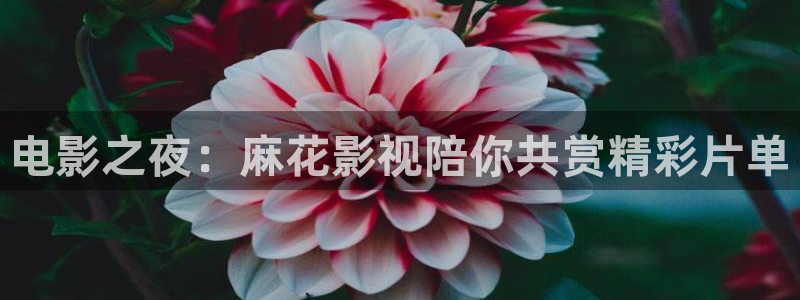 www.樱花视频.com