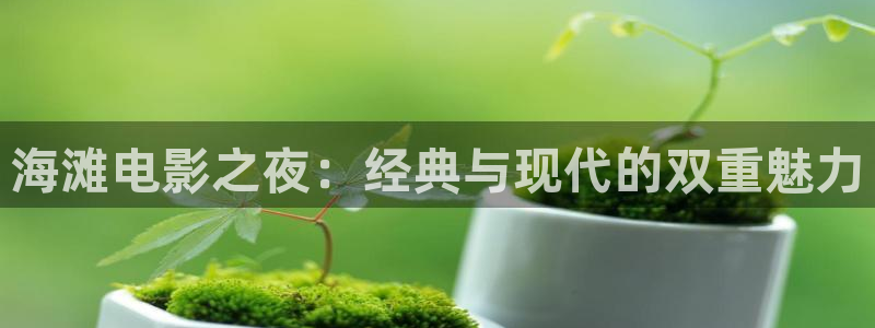 樱花影院电视剧免费观看