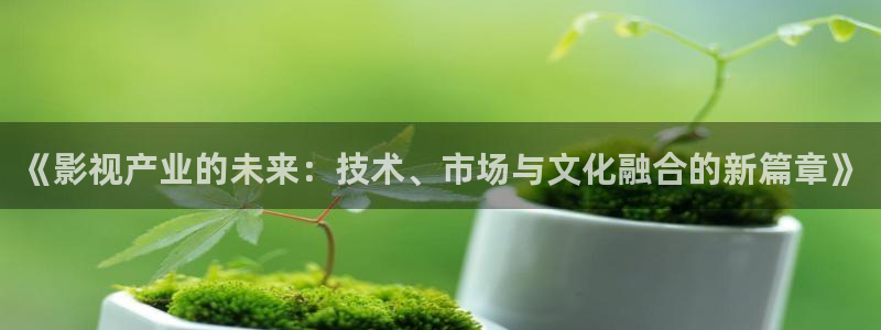 樱花视频电影好看的电视剧
