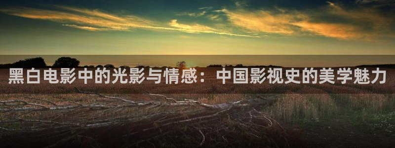 樱花视频观看