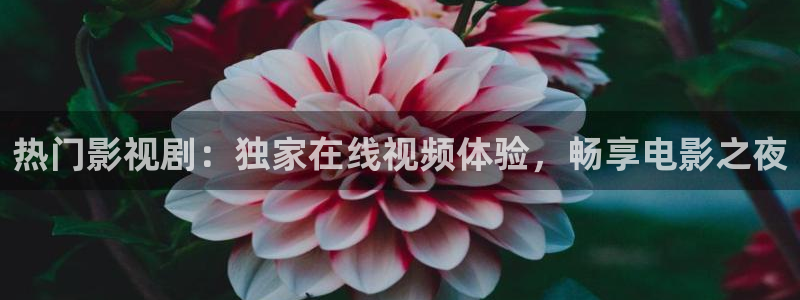 小樱花视频：热门影视剧：独家在线视频体验，畅享电影之夜