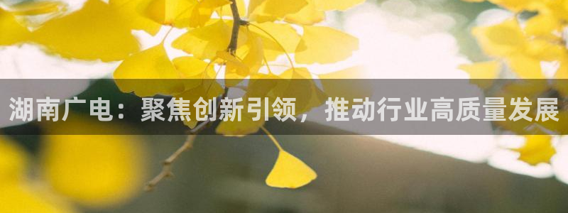 在线观看樱花影视：湖南广电：聚焦创新引领，推动行业高质量发展