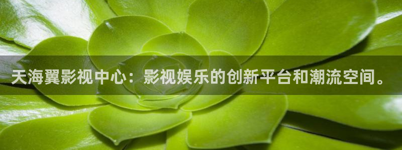樱花视频手机版：天海翼影视中心：影视娱乐的创新平台和潮流空间。