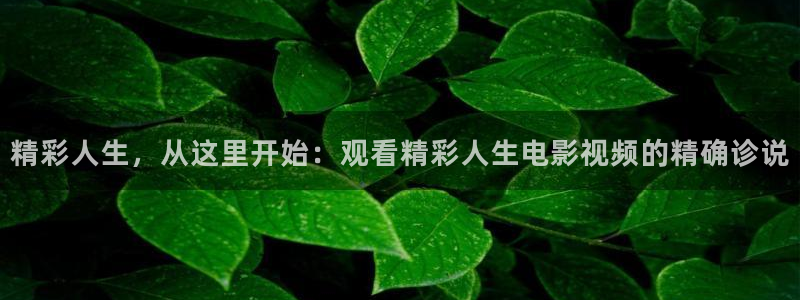 樱花影视网页：精彩人生，从这里开始：观看精彩人生电影视频的精确诊说