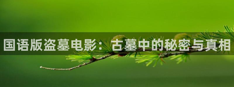 樱花视频com：国语版盗墓电影：古墓中的秘密与真相
