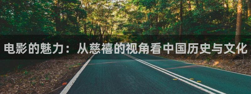 樱花视频高清免费看：电影的魅力：从慈禧的视角看中国历史与文化