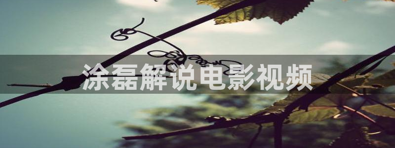 樱花视频mv