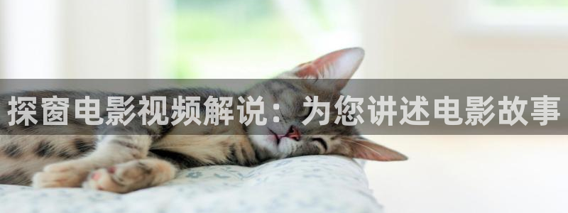 樱花影院理论片：探窗电影视频解说：为您讲述电影故事