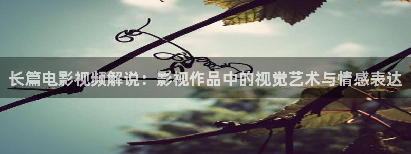 樱花视频xxx：长篇电影视频解说：影视作品中的视觉艺术与情感表达