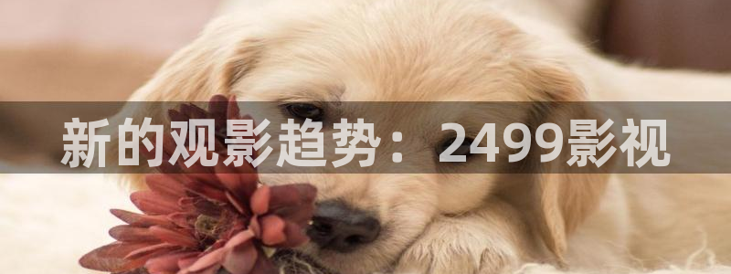 下载樱花视频：新的观影趋势：2499影视