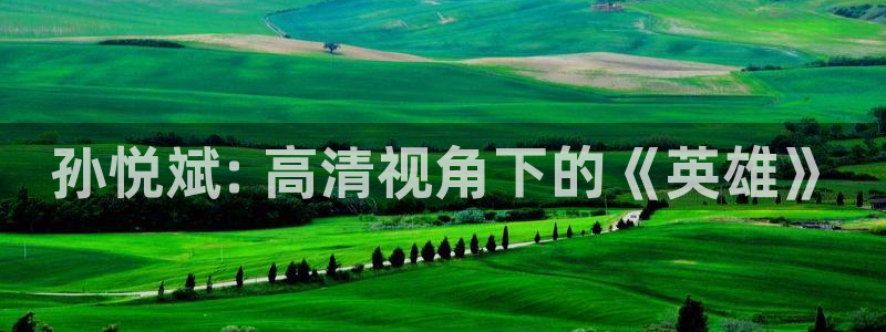 樱花视频原神：孙悦斌: 高清视角下的《英雄》
