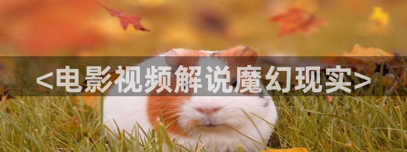 龙珠超高清免费看樱花影院：<电影视频解说魔幻现实>