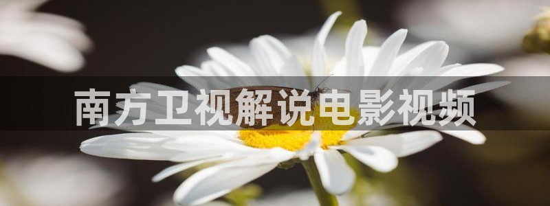 天使降临到我身边樱花视频：南方卫视解说电影视频