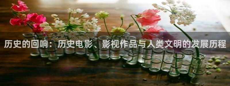 樱花影院热门电影有哪些：历史的回响：历史电影、影视作品与人类文明的发展历程