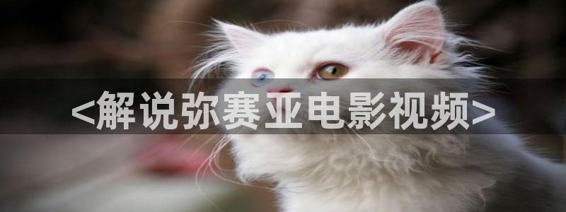 樱花视频网站.：<解说弥赛亚电影视频>