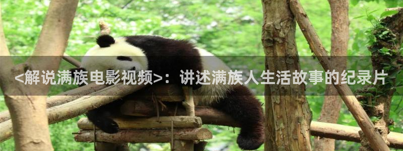 樱花视频s：<解说满族电影视频>：讲述满族人生活故事的纪录片