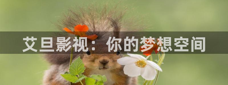 樱花视频高清资源在线观看：艾旦影视：你的梦想空间