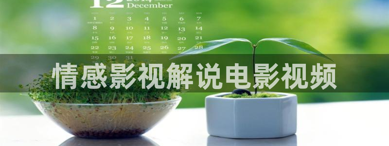 樱花视频高清在线观看完整版：情感影视解说电影视频