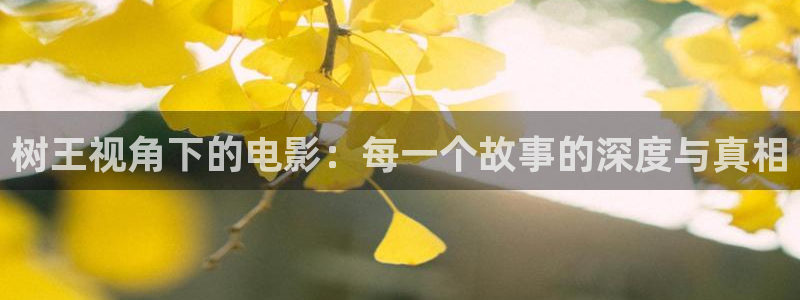 这份恋情希望你察觉动漫樱花视频：树王视角下的电影：每一个故事的深度与真相