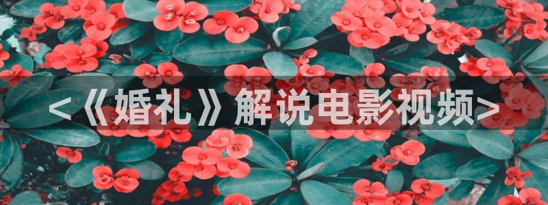 亚洲樱花影片：<《婚礼》解说电影视频>