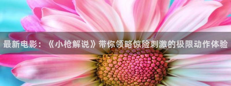 樱花视频一区：最新电影：《小枪解说》带你领略惊险刺激的极限动作体验