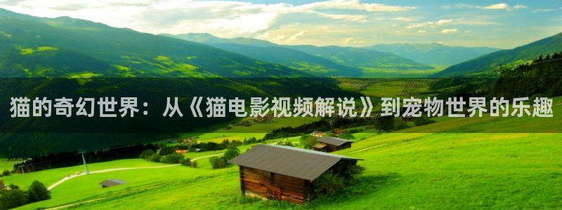 樱花视频免费观看：猫的奇幻世界：从《猫电影视频解说》到宠物世界的乐趣
