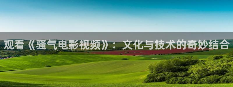海贼王樱花视频：观看《骚气电影视频》：文化与技术的奇妙结合