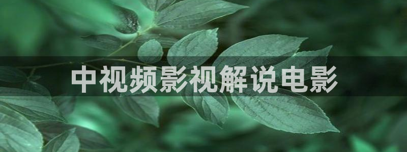 樱花视频免费版高清在线观看：中视频影视解说电影