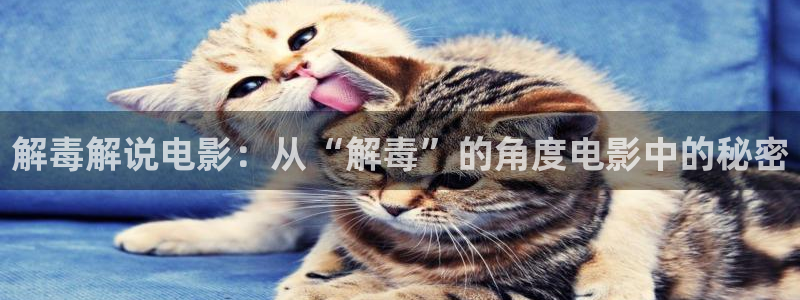 樱花视频免费版：解毒解说电影：从“解毒”的角度电影中的秘密