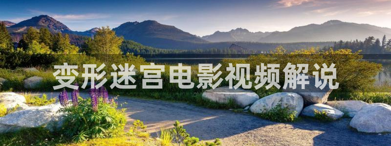 樱花影视在线免费看：变形迷宫电影视频解说