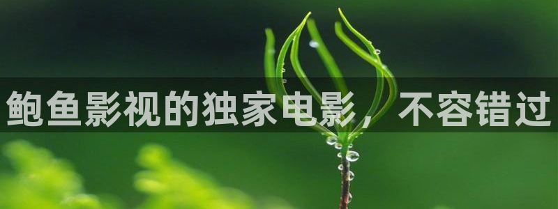 樱花视频看看：鲍鱼影视的独家电影，不容错过