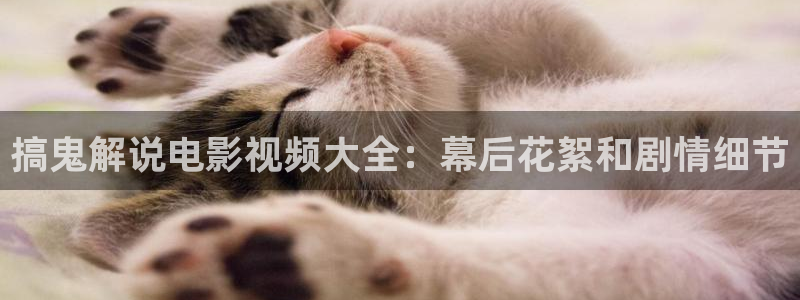 樱花视频怎么安装：搞鬼解说电影视频大全：幕后花絮和剧情细节