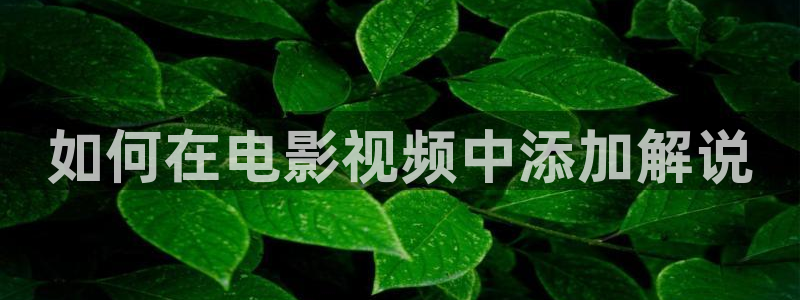 樱花视频免费观看电视剧高清在线观看：如何在电影视频中添加解说